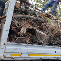 Rubble Removal Image
